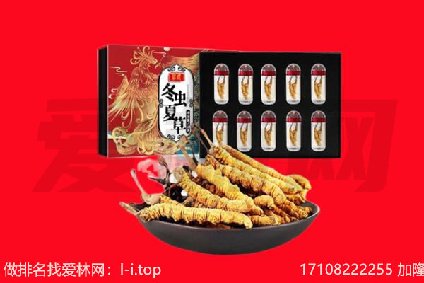 成都市蒲江回收虫草.jpg